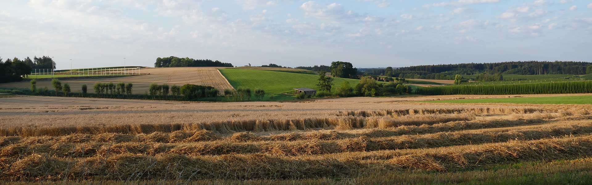 Header Wolfersdorf - Sommer 1